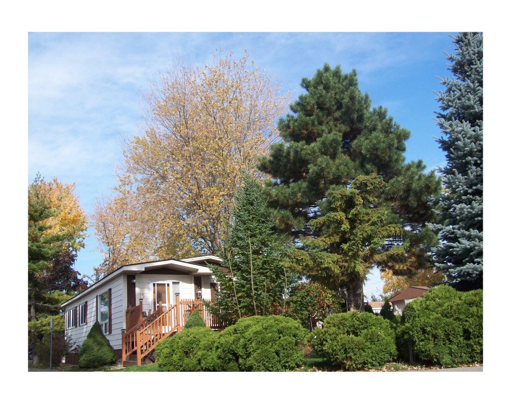 Twin Pines Mobile Home Park